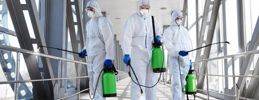 Covid Grattacaso Servizi