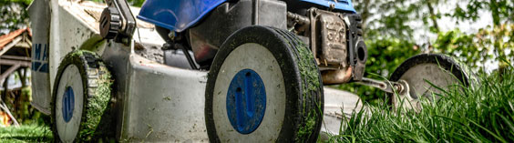 Manutenzione aree verdi