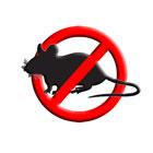 derattizzazione Savona